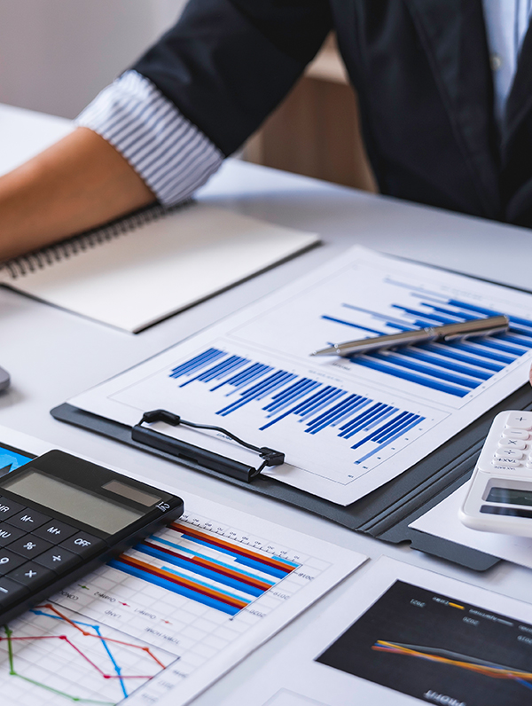 DAVAFEMO Experiencia